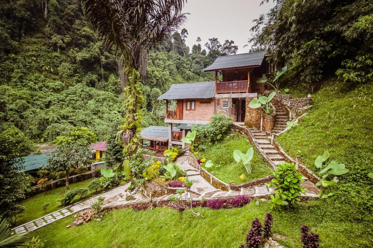 Garden Lodge Bukit Lawang