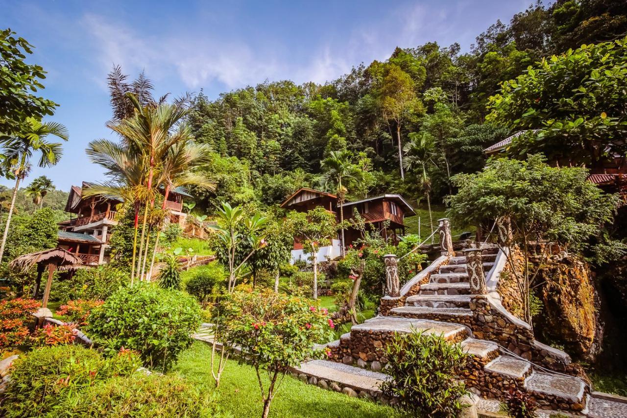 Garden *