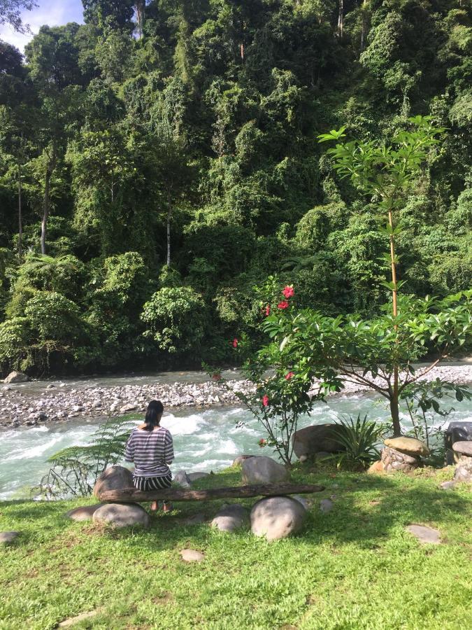 Garden * Bukit Lawang