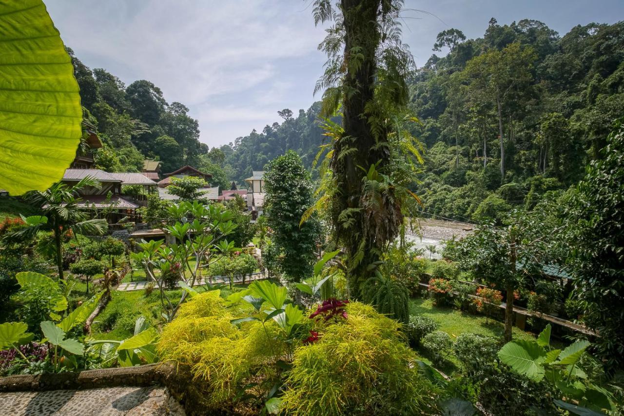 Lodge Garden Bukit Lawang