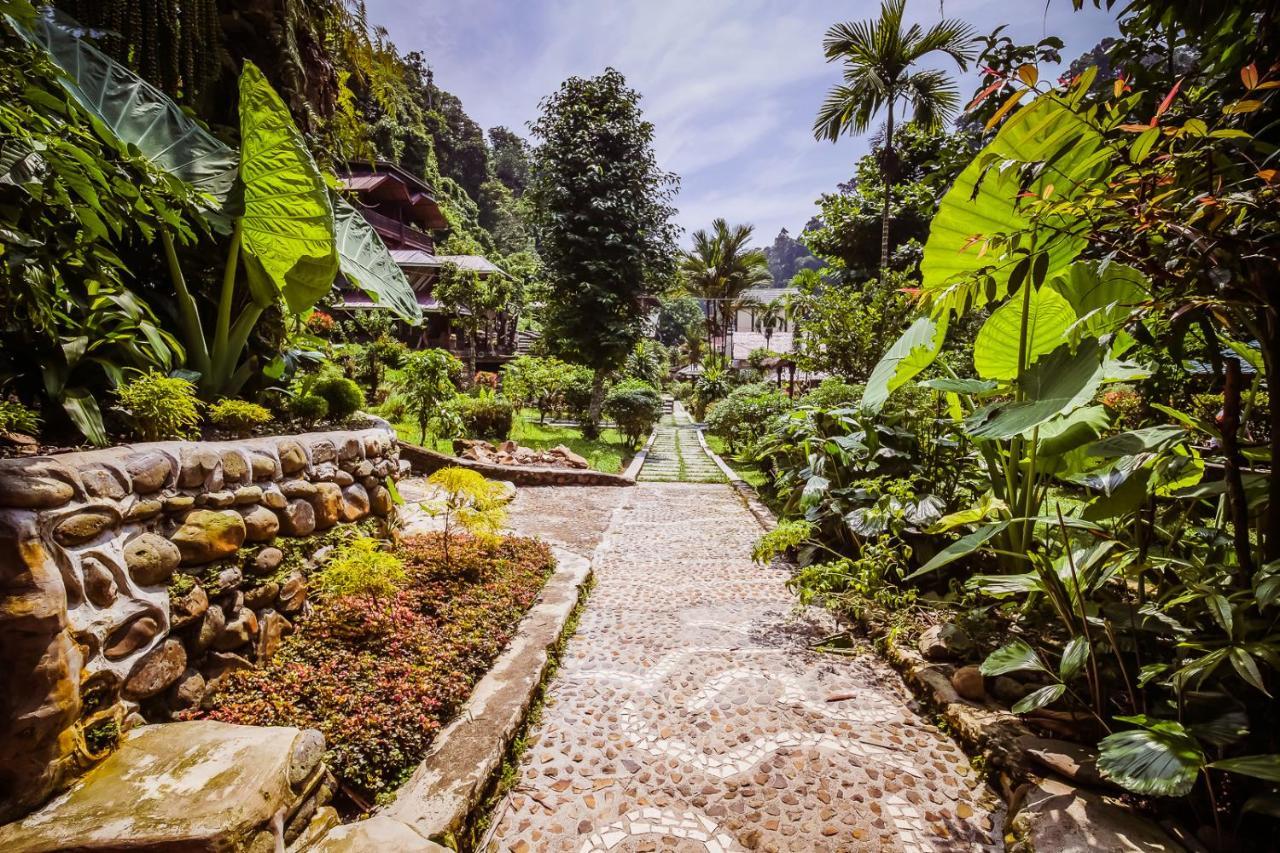 Garden *